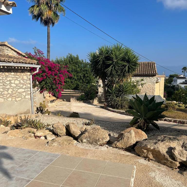 Rustico Appartment 'Olta' in finca, see-and garden side - Casa con 1 dormitorio - 24