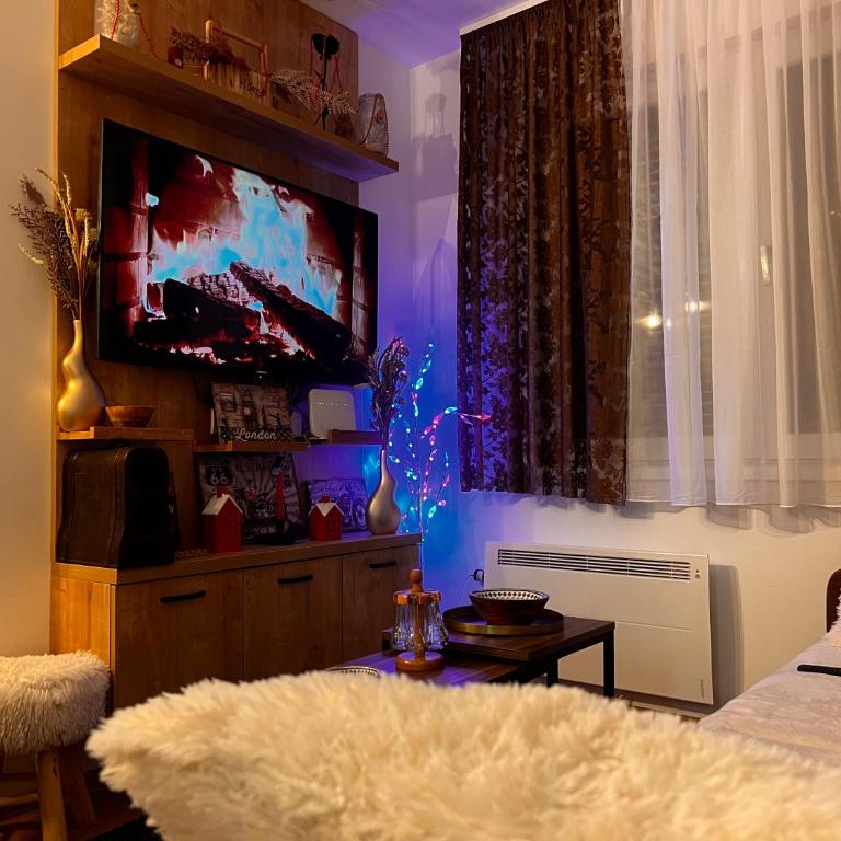 Vila Jahor CozyPlace 28 - Apartman sa 1 Spavaćom Sobom - 5