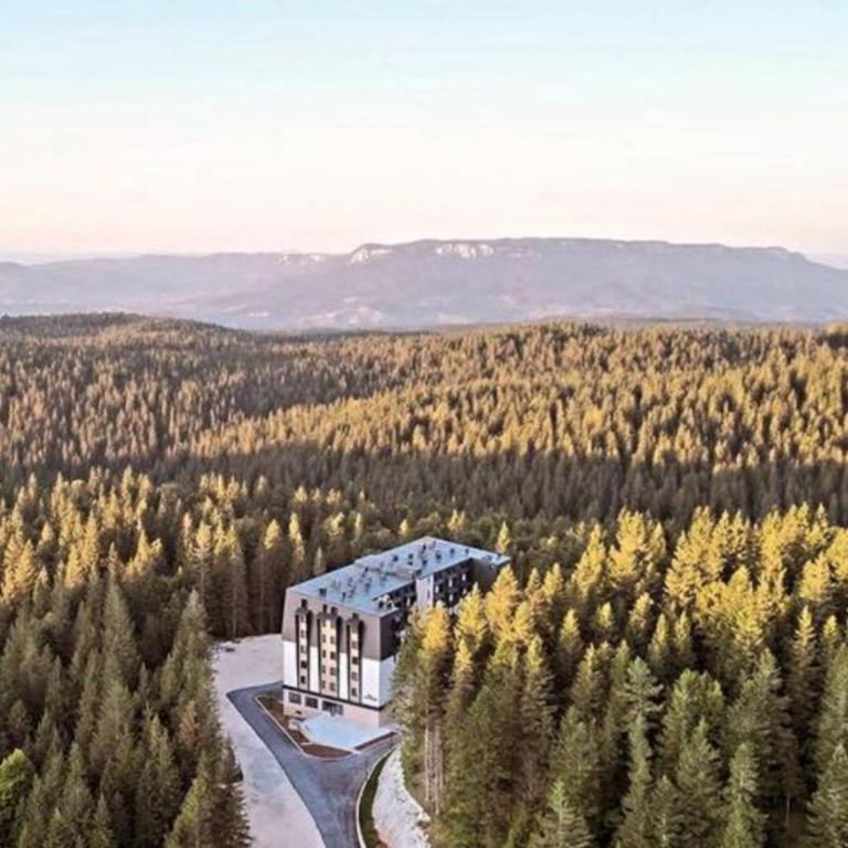 Apartman Pahulja 402 - Zlatni Javor - Apartman sa 1 Spavaćom Sobom - 13