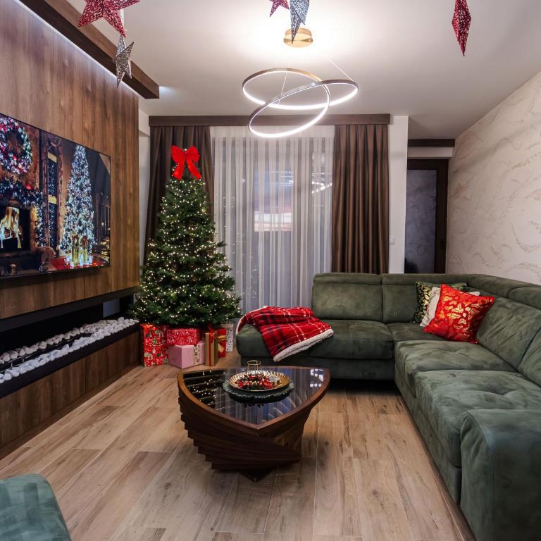 BOROVI PREMIUM wellness&spa - Apartman sa 2 Spavaće Sobe - 23