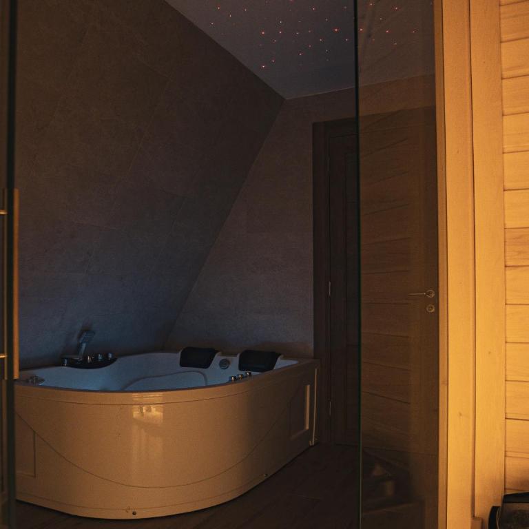 BOROVI PREMIUM wellness&spa - Apartman sa 2 Spavaće Sobe - 15