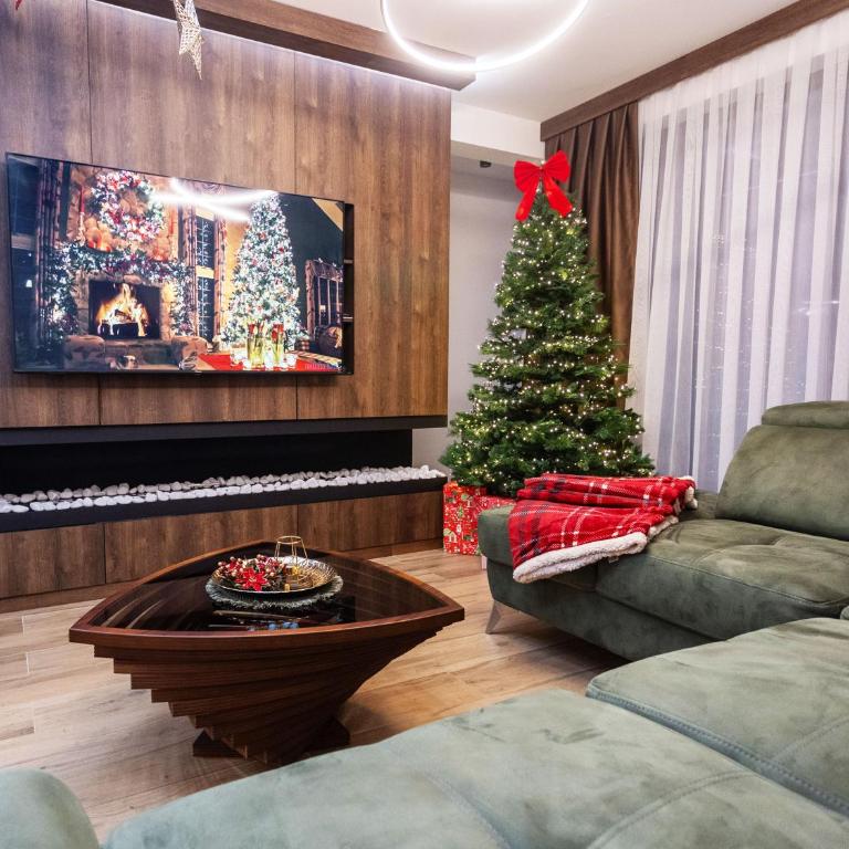 BOROVI PREMIUM wellness&spa - Apartman sa 2 Spavaće Sobe - 22