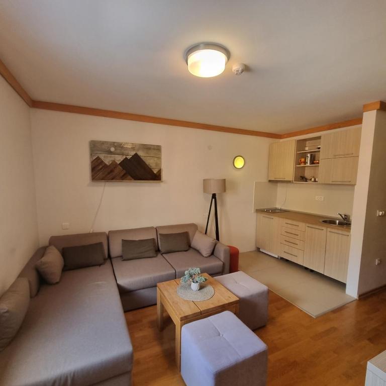 Apartment U345 - Aparthotel Vučko Jahorina - private host - One-Bedroom Apartment - 1