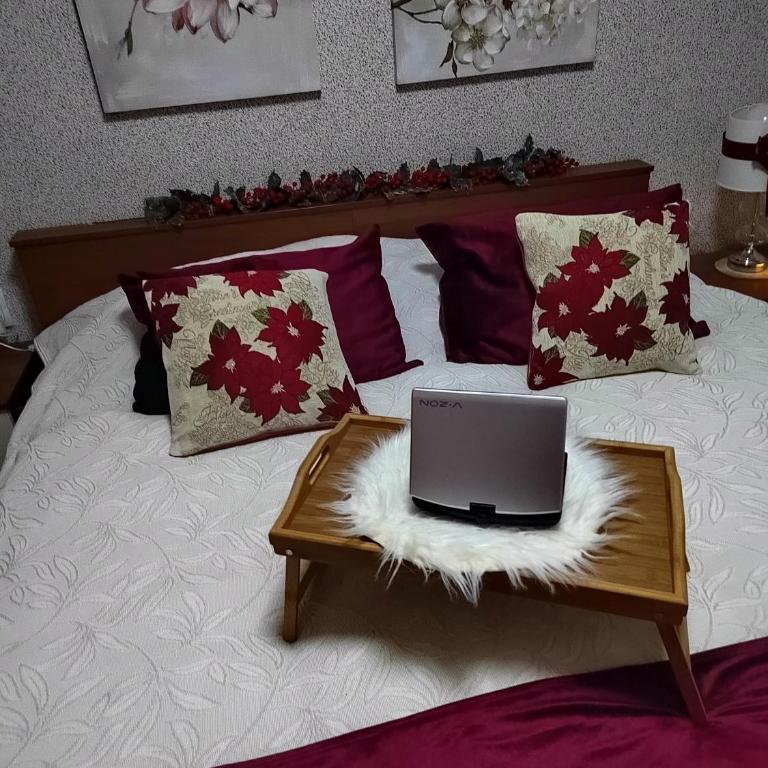 Vesna Apartman - Apartman sa 1 Spavaćom Sobom - 11