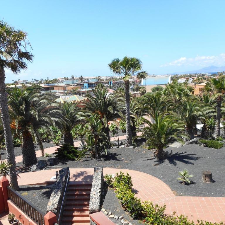 Oasis Royal - Apartment - 19