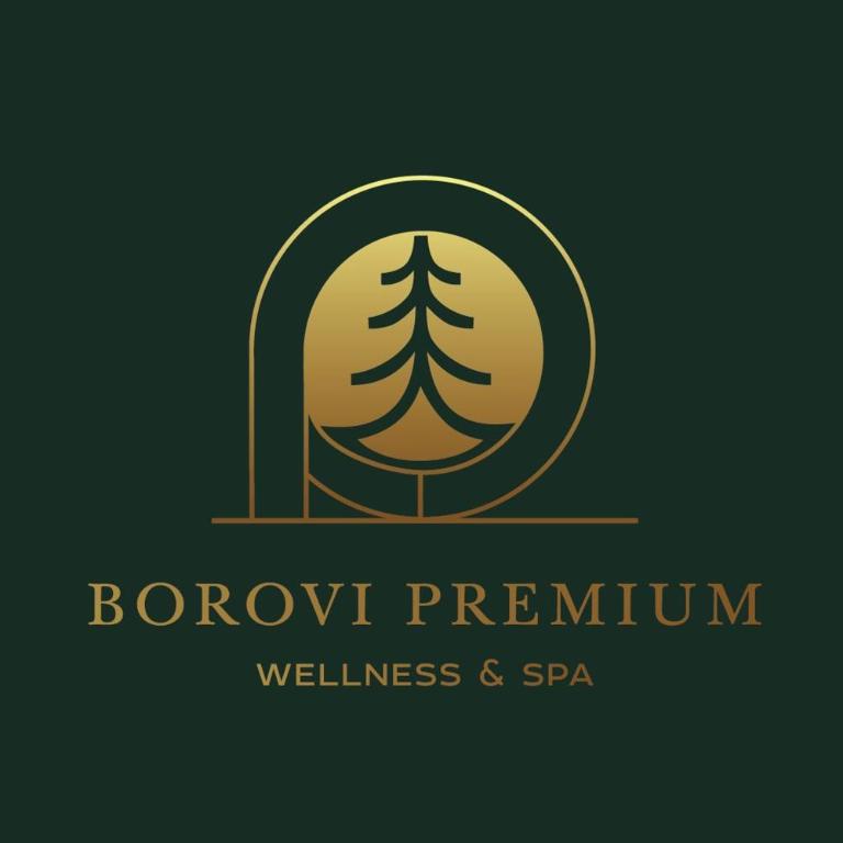 BOROVI PREMIUM wellness&spa - Apartman sa 2 Spavaće Sobe - 21