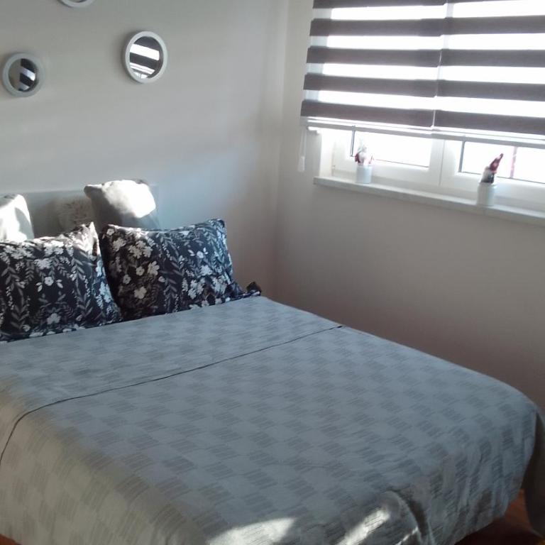 Two - One-Bedroom Apartment - 6