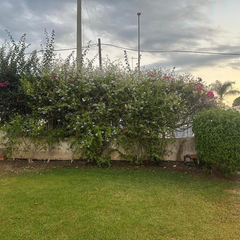 Villa Aurora e Villa Oceano - Villa con Vista Giardino - 6