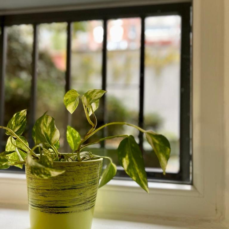 Chestnut apartments - Studio - 8