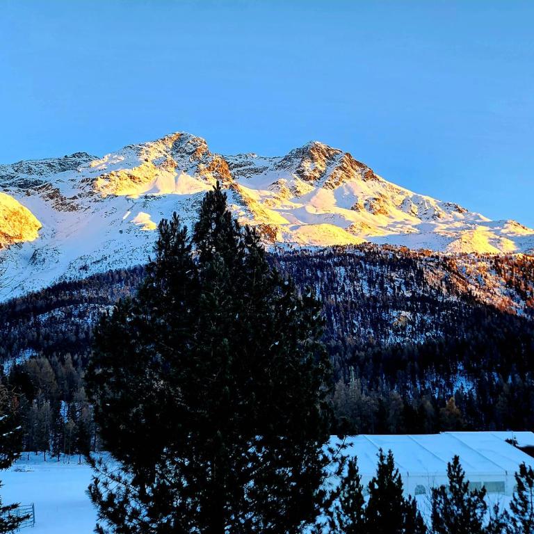 Modernes Alpenstudio mit Bergblick, Pool und Sauna - Apartment mit 1 Schlafzimmer - 16