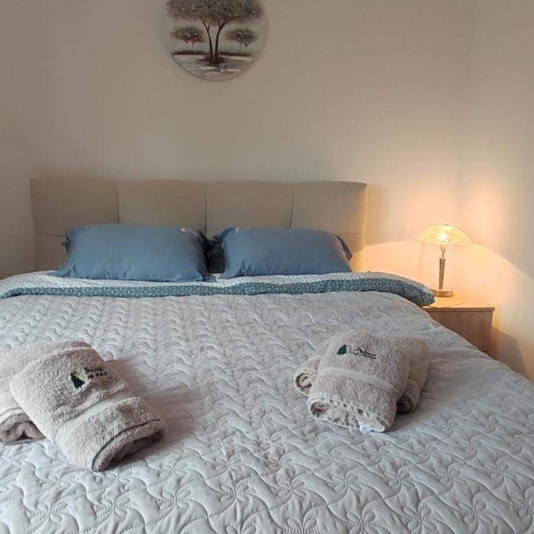 Vila Irina Kopaonik - Apartman sa Pogledom na Planinu - 7