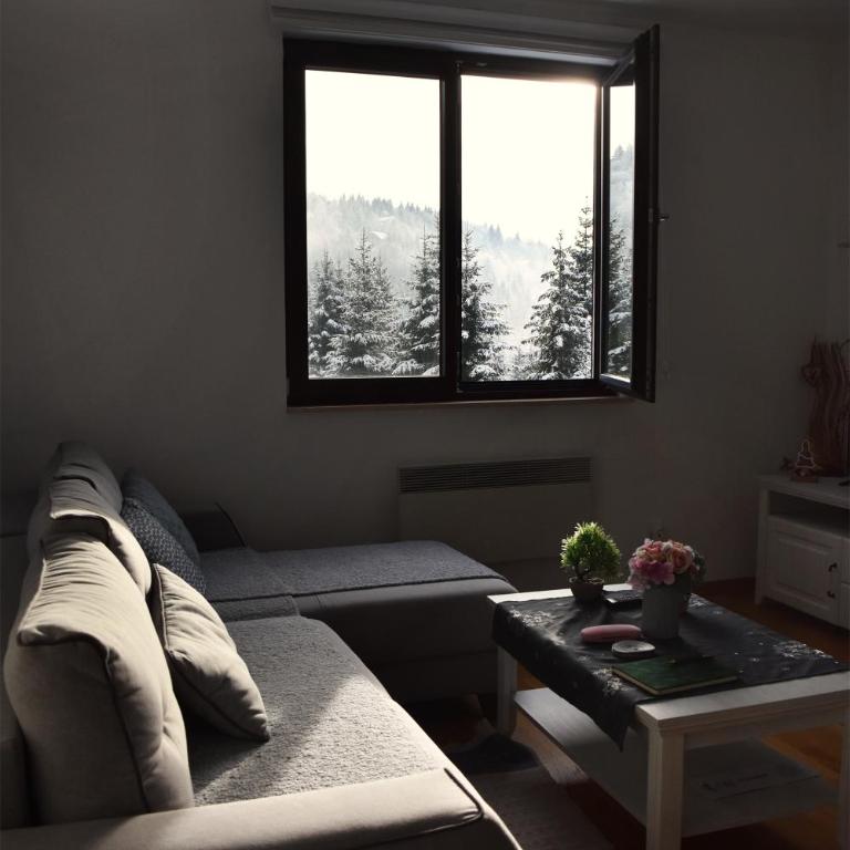 Vila Irina Kopaonik - Apartman sa Pogledom na Planinu - 9