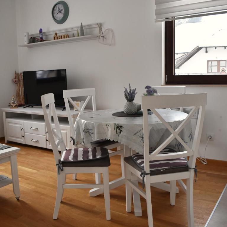 Vila Irina Kopaonik - Apartman sa Pogledom na Planinu - 2