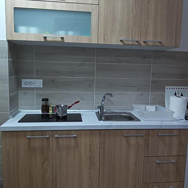Apartman SANJALICA Divčibare - One-Bedroom Apartment - 28