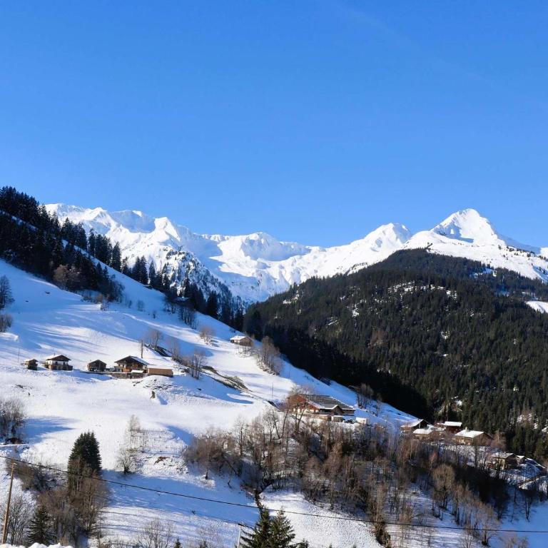Chalet réçent pour 15 pers. avec wifi et parking à Arêches-Beaufort - Chalet de 3 dormitorios - 20