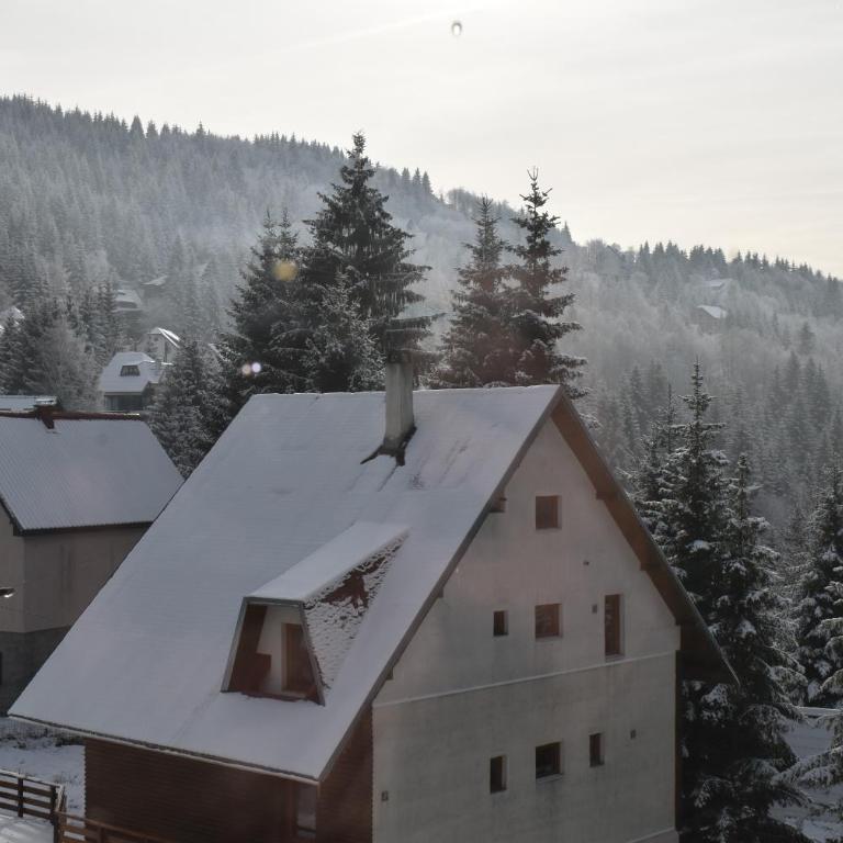 Vila Irina Kopaonik - Apartman sa 1 Spavaćom Sobom - 9