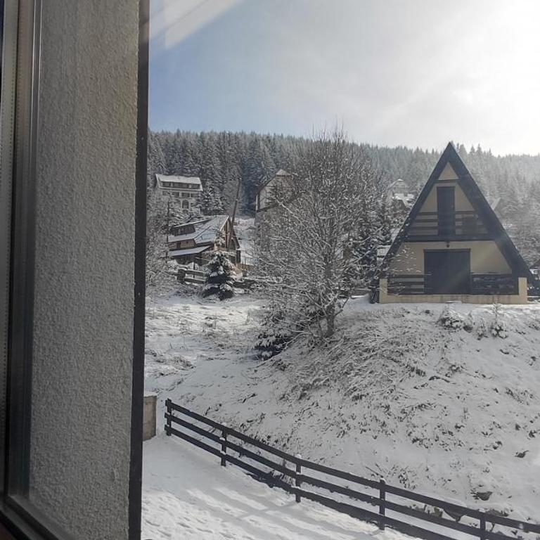 Vila Irina Kopaonik - Apartman sa 1 Spavaćom Sobom - 10
