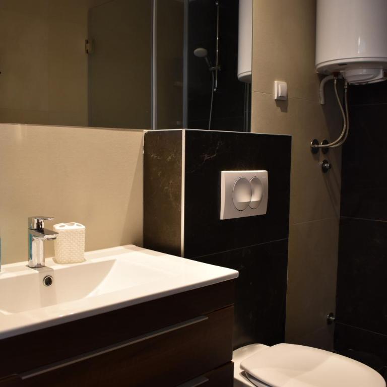 Vila Irina Kopaonik - Apartman sa 1 Spavaćom Sobom - 11