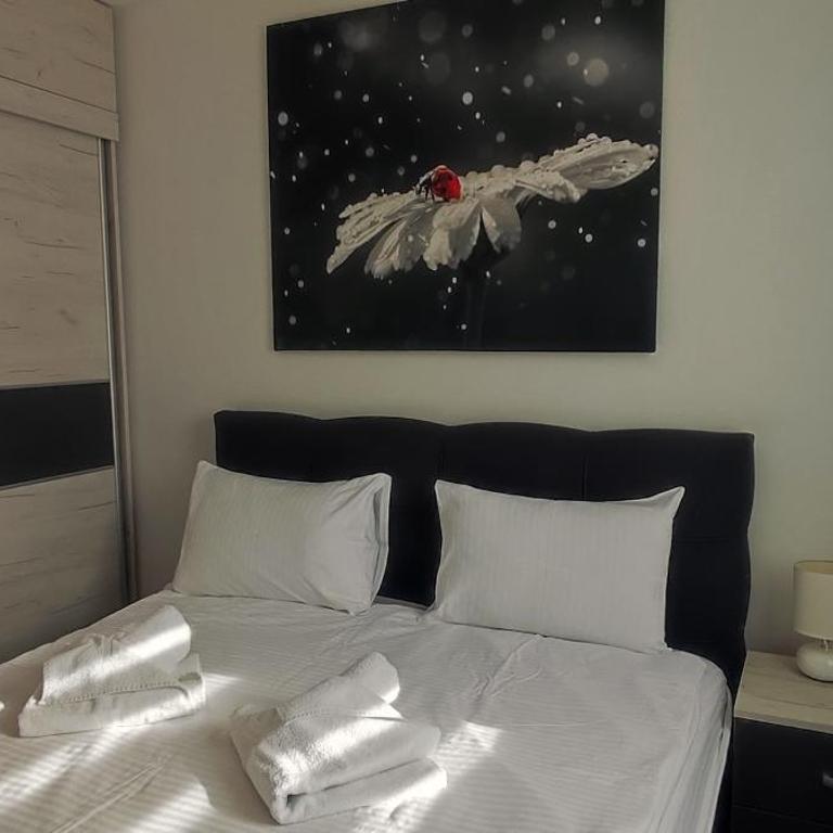 Vila Irina Kopaonik - Apartman sa 1 Spavaćom Sobom - 13
