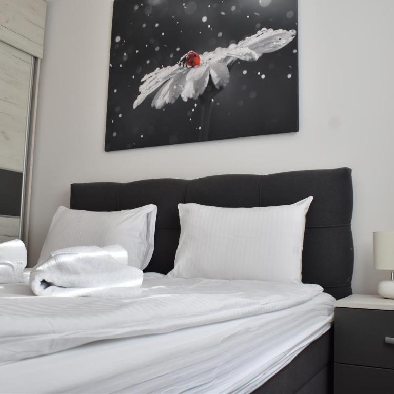 Vila Irina Kopaonik - Apartman sa 1 Spavaćom Sobom - 4