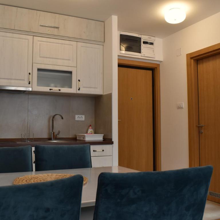 Vila Irina Kopaonik - Apartman sa 1 Spavaćom Sobom - 14