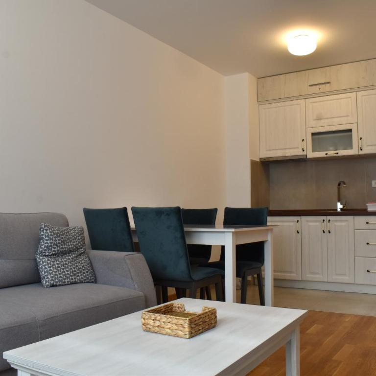 Vila Irina Kopaonik - Apartman sa 1 Spavaćom Sobom - 17