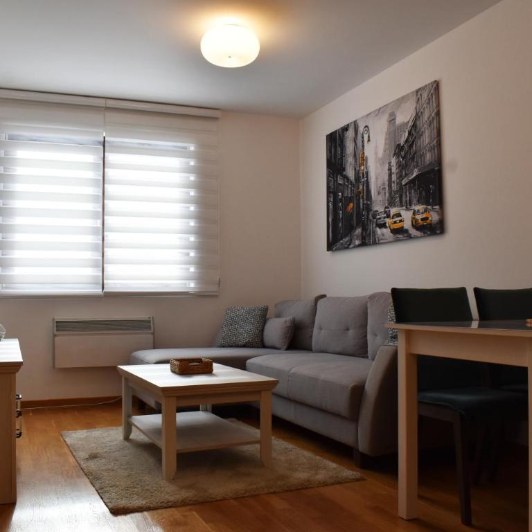 Vila Irina Kopaonik - Apartman sa 1 Spavaćom Sobom - 19