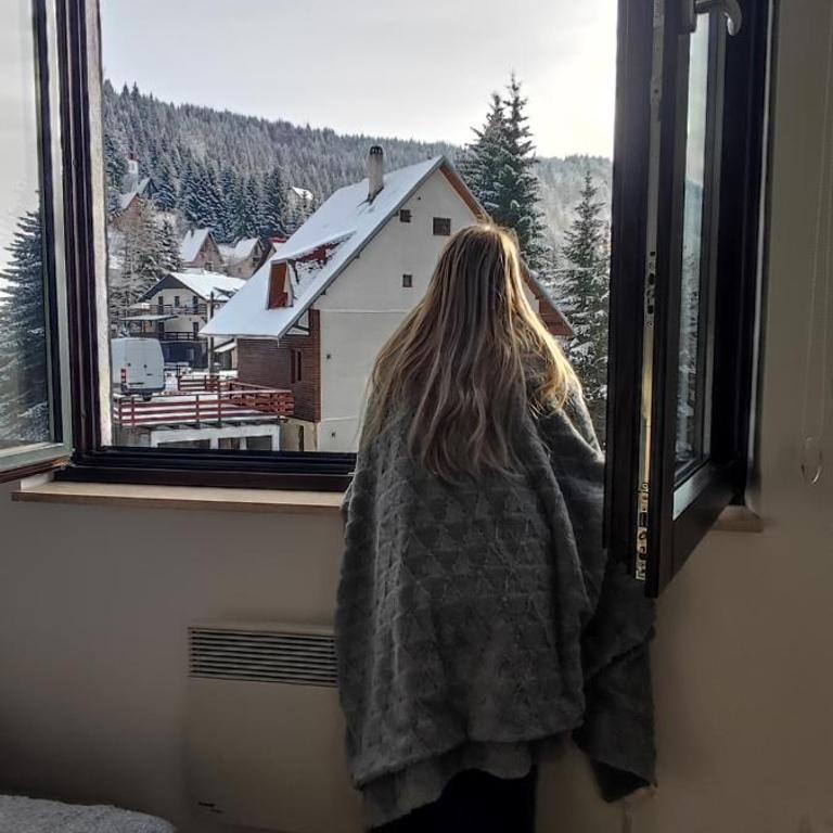 Vila Irina Kopaonik - Apartman sa Pogledom na Planinu - 5