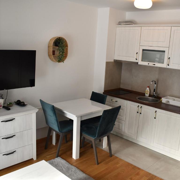 Vila Irina Kopaonik - Studio Apartman - 7