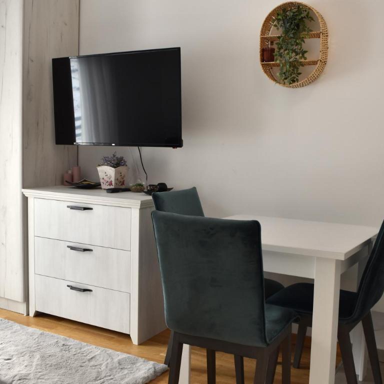Vila Irina Kopaonik - Studio Apartman - 14
