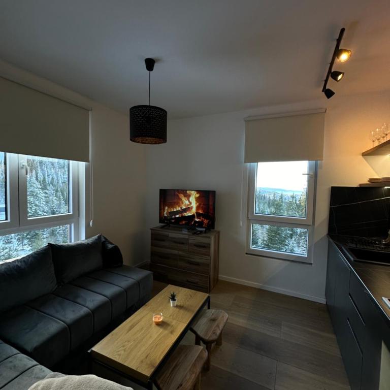 Apartmani Snowflake - Apartment with Mountain View - 5
