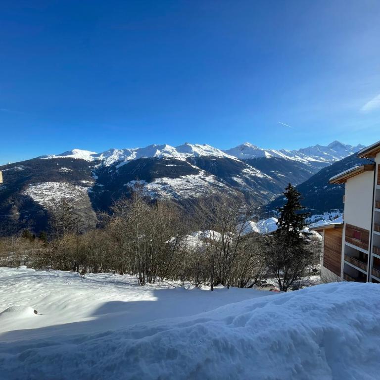 Ski in Ski out au pied des pistes à Thyon - Les Collons! - Apartment mit 1 Schlafzimmer - 10