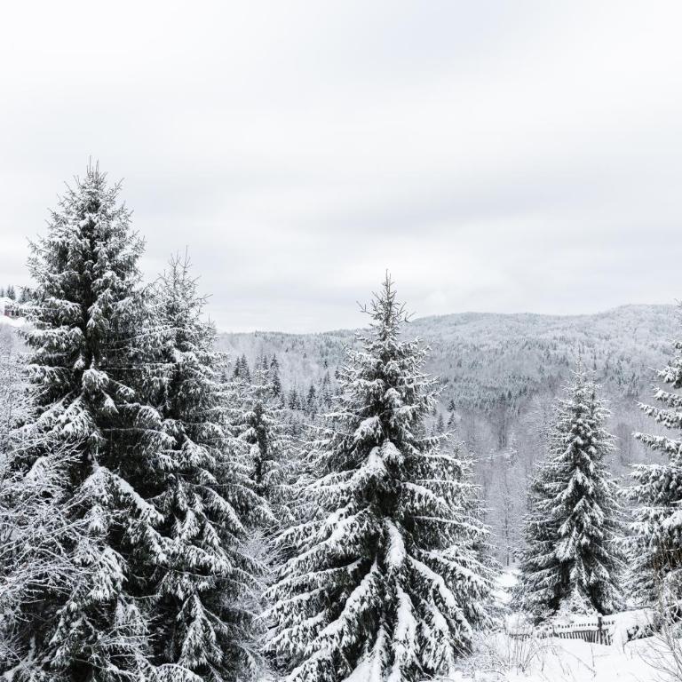 Glečer Kop, Cozy design apartment A5, FREE Parking Garage - Apartman sa 1 Spavaćom Sobom - 15