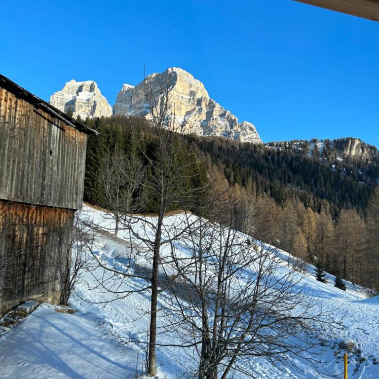 Chalet M - Chalet - 41