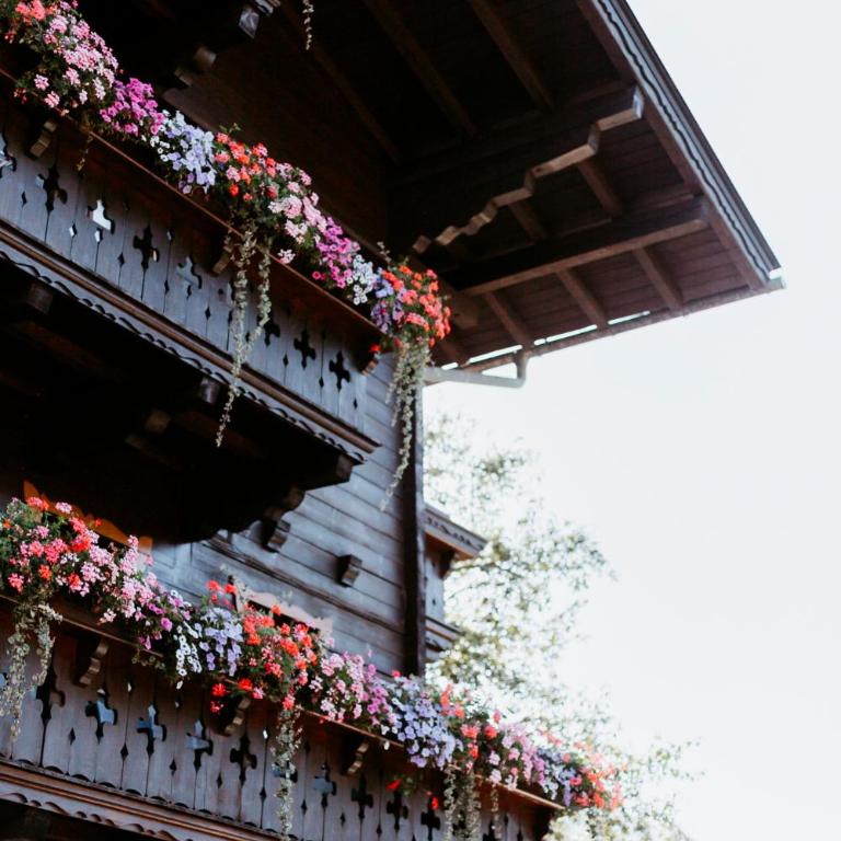 Tofererhof - One-Bedroom Apartment - 4