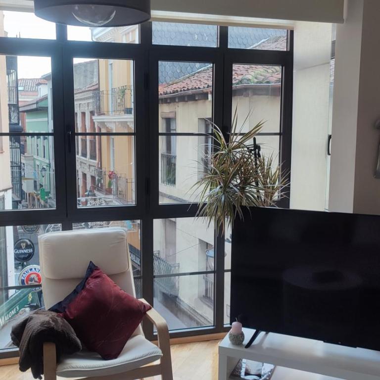 Estudio Paloma - Apartamento de 1 dormitorio - 7