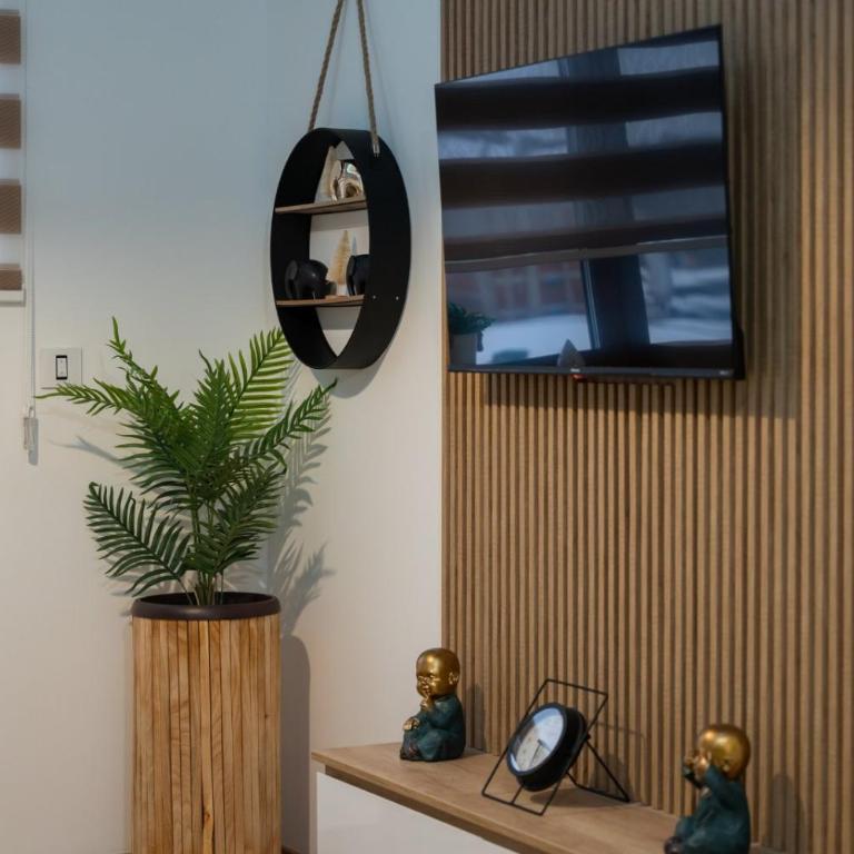 Apartman Martinovic - Apartman sa 1 Spavaćom Sobom - 4