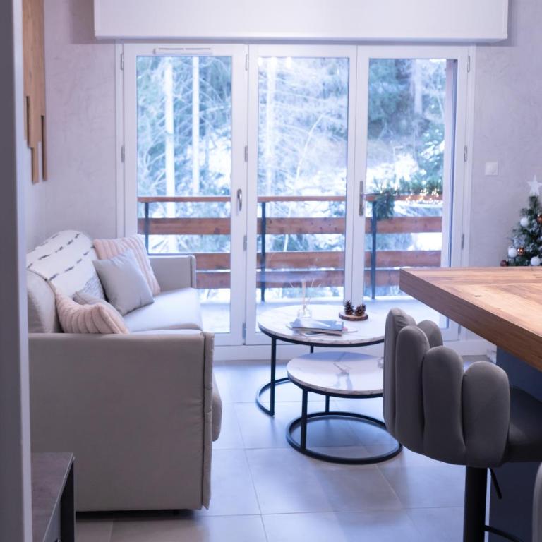 Studio cabine Au Loup Blanc avec vue Mont Blanc - Appartement 1 Chambre - 15