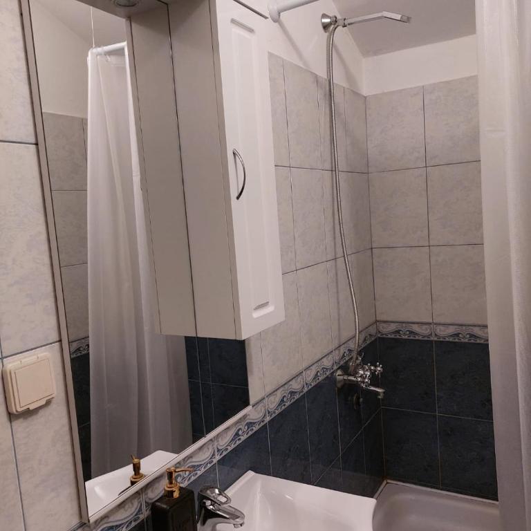 Apartmani Samardžić - Apartman sa 1 Spavaćom Sobom - 7