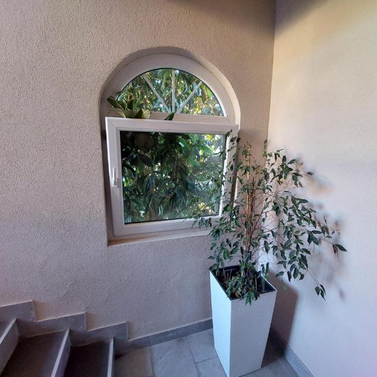 Apartmani Samardžić - Apartman sa 1 Spavaćom Sobom - 10