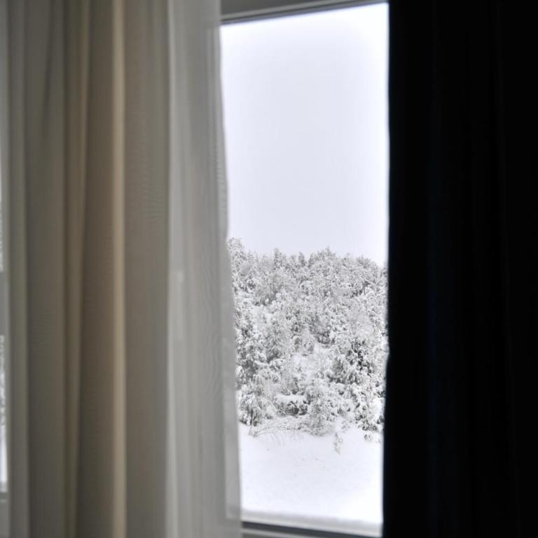 Ramondia, Kopaonik - Apartman - Prizemlje - 26