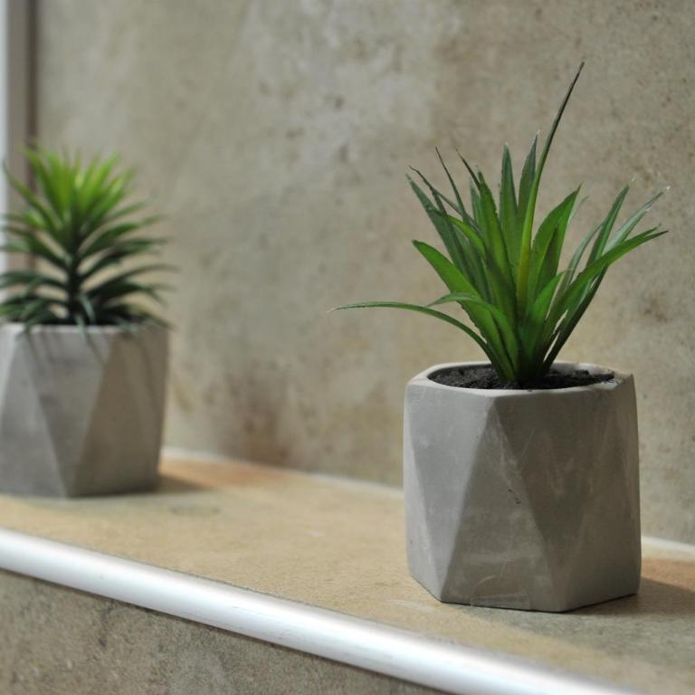 Ramondia, Kopaonik - Apartman - Prizemlje - 10