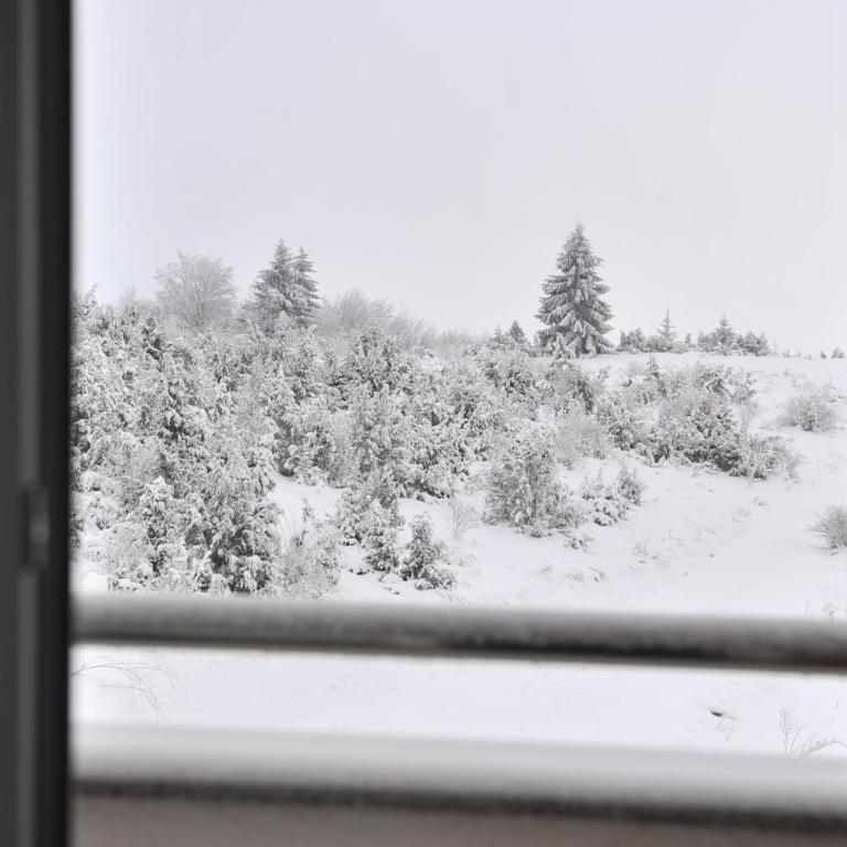 Ramondia, Kopaonik - Apartman - Prizemlje - 21