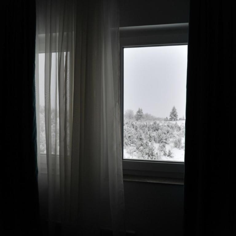 Ramondia, Kopaonik - Apartman - Prizemlje - 31