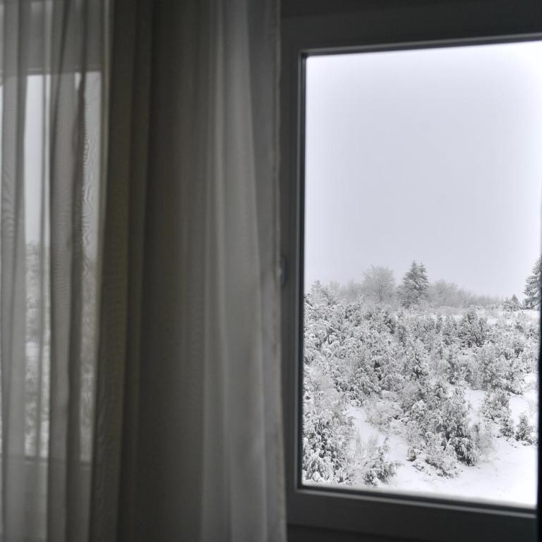 Ramondia, Kopaonik - Potkrovlje - 28