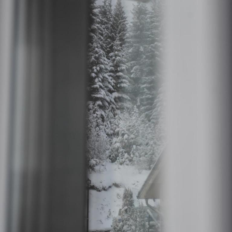 Ramondia, Kopaonik - Apartman - Prizemlje - 33