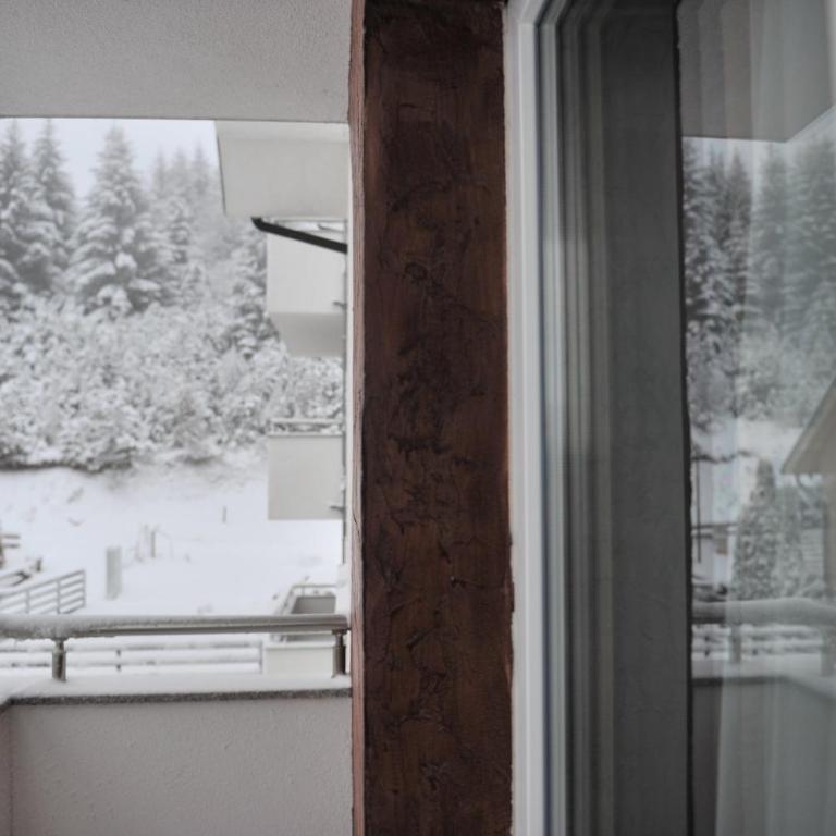 Ramondia, Kopaonik - Apartman - Prizemlje - 32