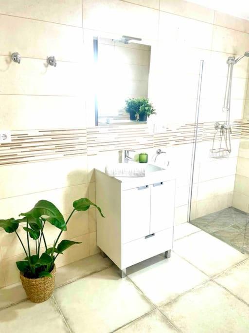 Brisa Home - Apartamento de 1 dormitorio - 32