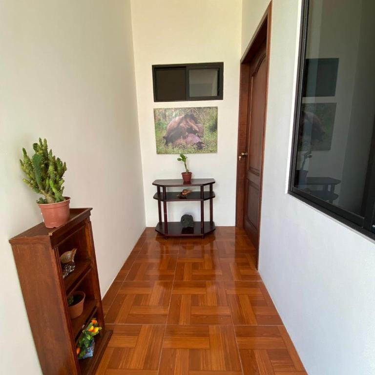 Galapagos Volcanic III - Two-Room Apartment - 11