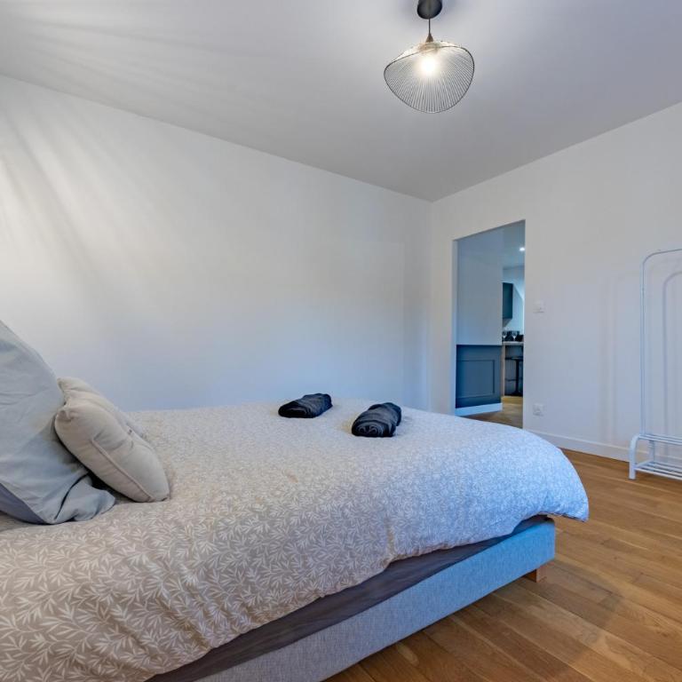 Le beau Briand proche gare parking facile - Appartement 1 Chambre - 13
